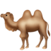:camel: