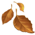 :fallen_leaf: