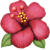 :hibiscus: